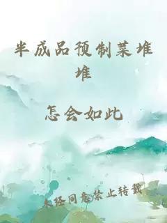 半成品預制菜堆堆